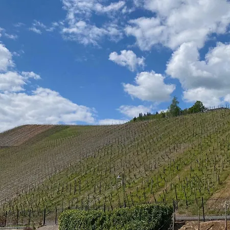 Schloss Lieser, Autograph Collection Lieser