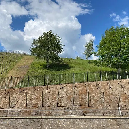 Hotel Schloss Lieser, Autograph Collection