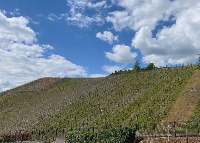 Schloss Lieser, Autograph Collection Lieser