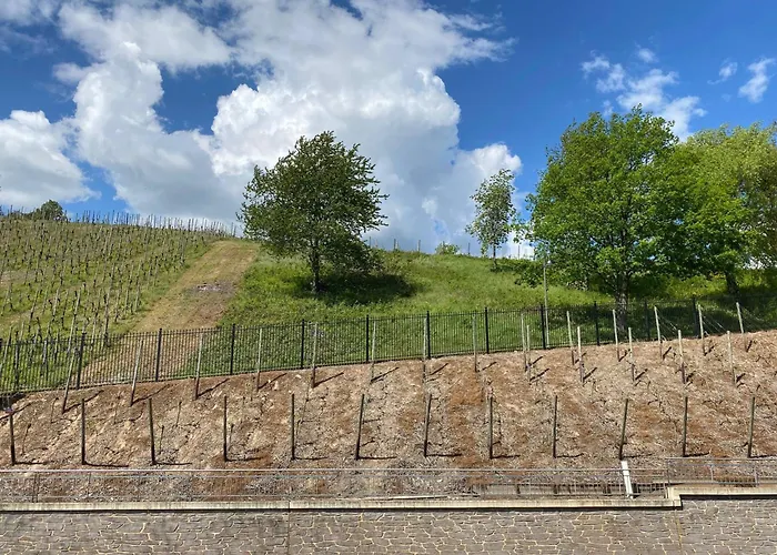 Hotel Schloss Lieser, Autograph Collection